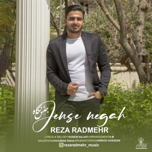 رضا رادمهر جنس نگاه